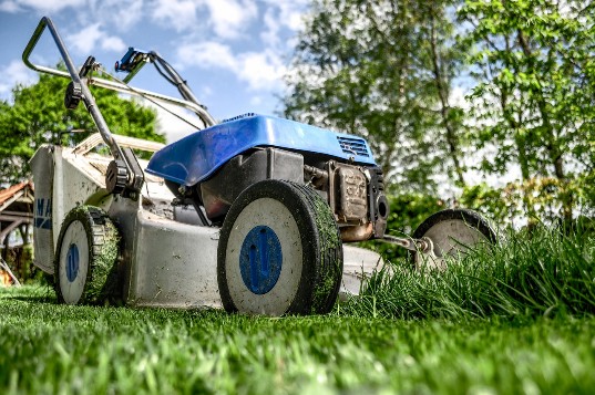 Garden Cleaning Garden Cleaning